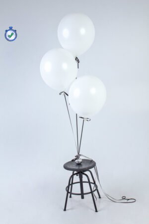 Didelių apvalių balionų puokštė GIMP